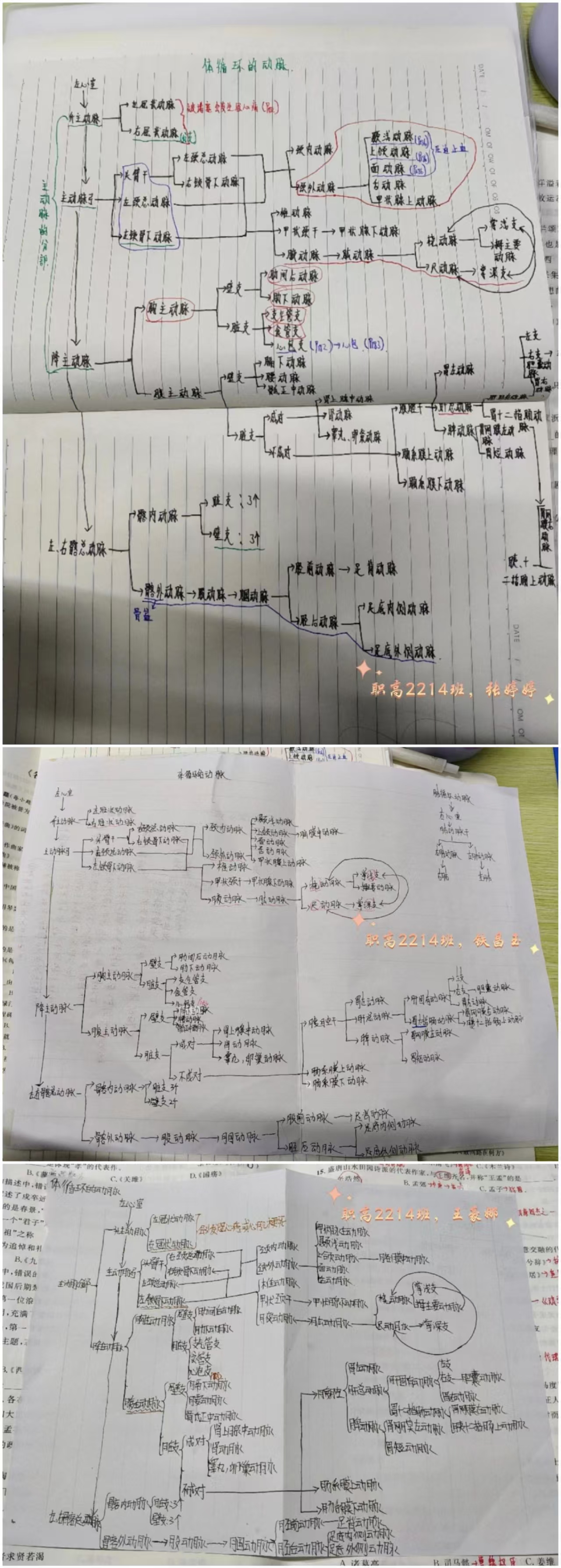 微信图片_20250320092557
